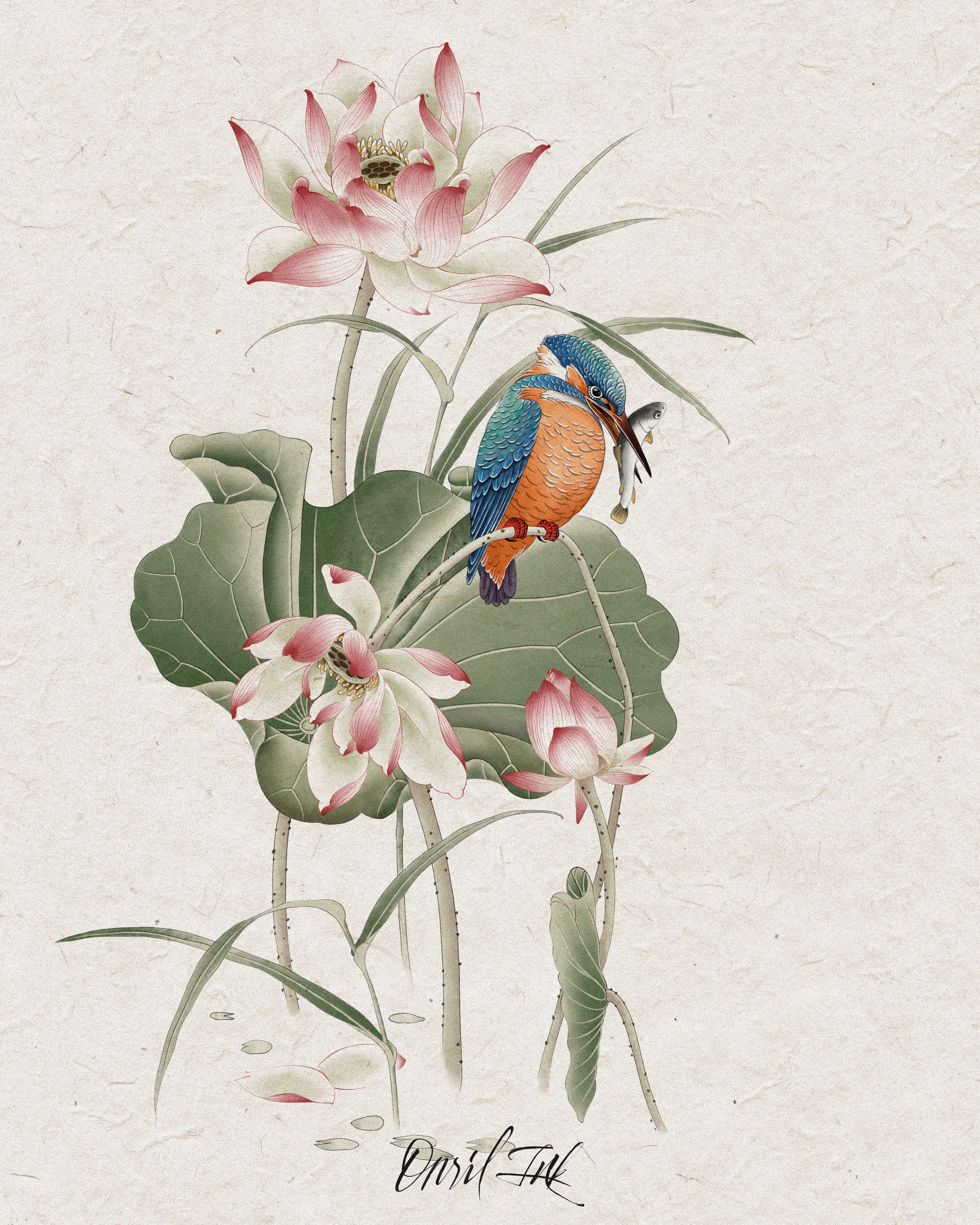 Lotus & Kingfisher — color design