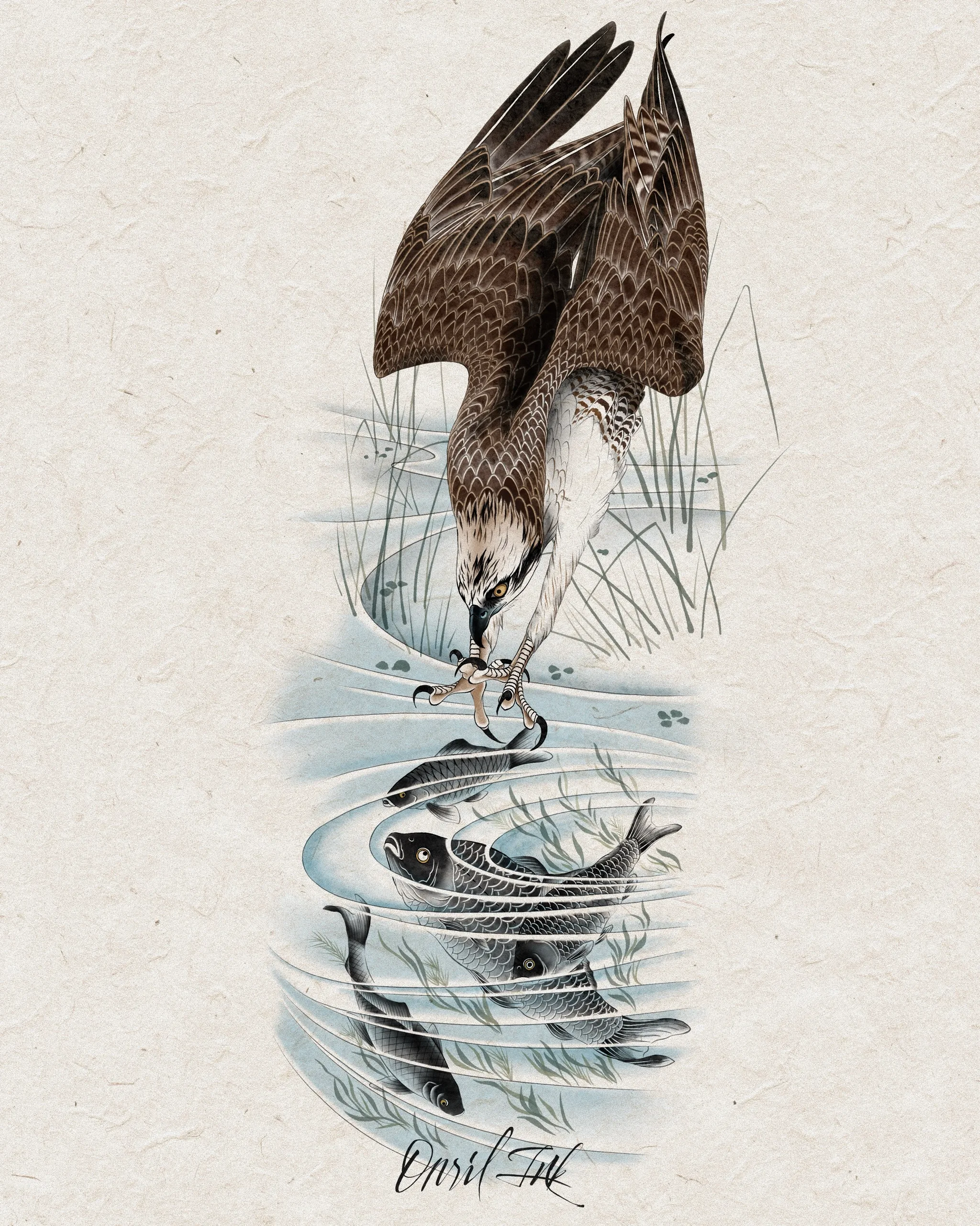 Osprey