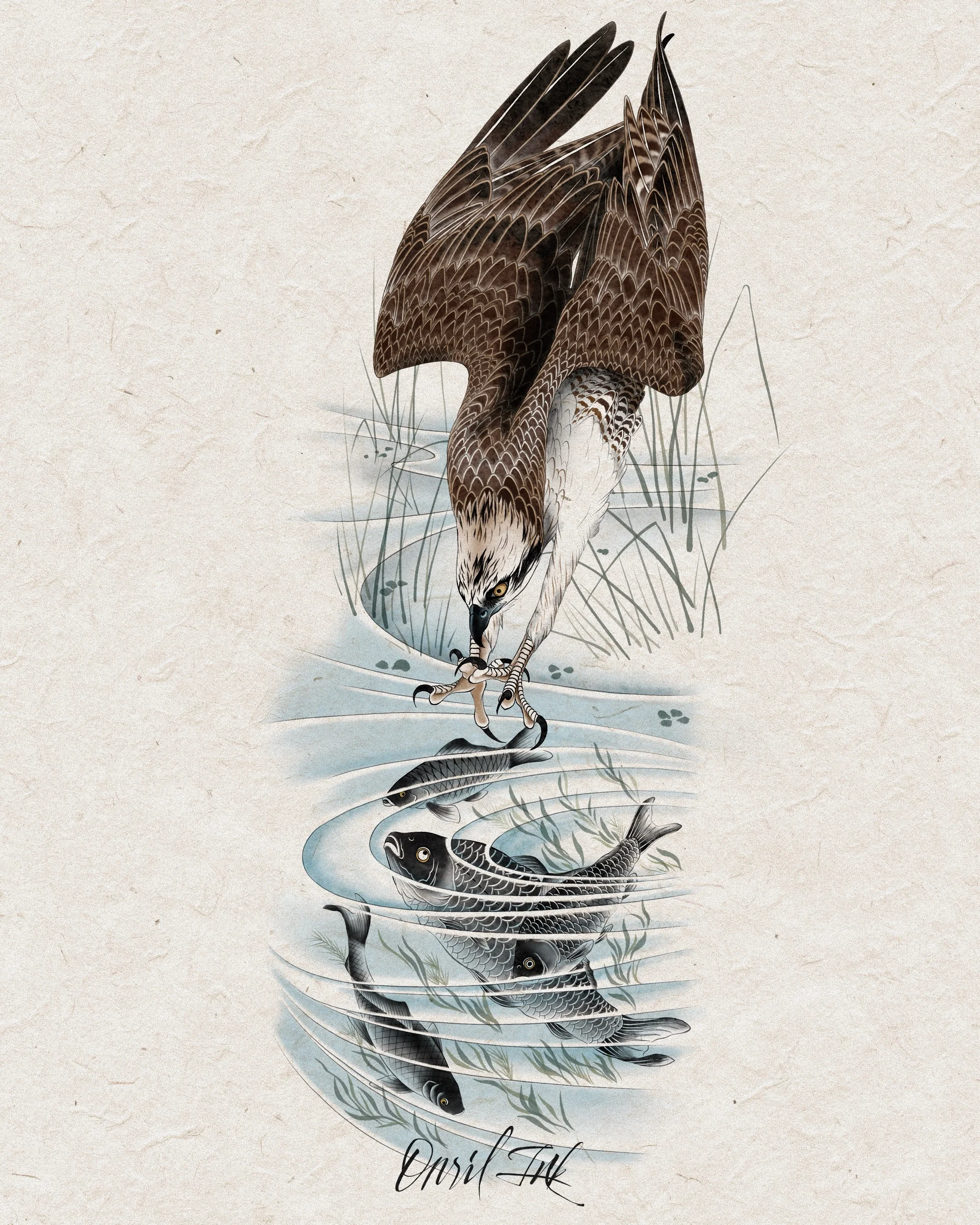 Osprey — Korean traditional tattoo by Onsil, color design