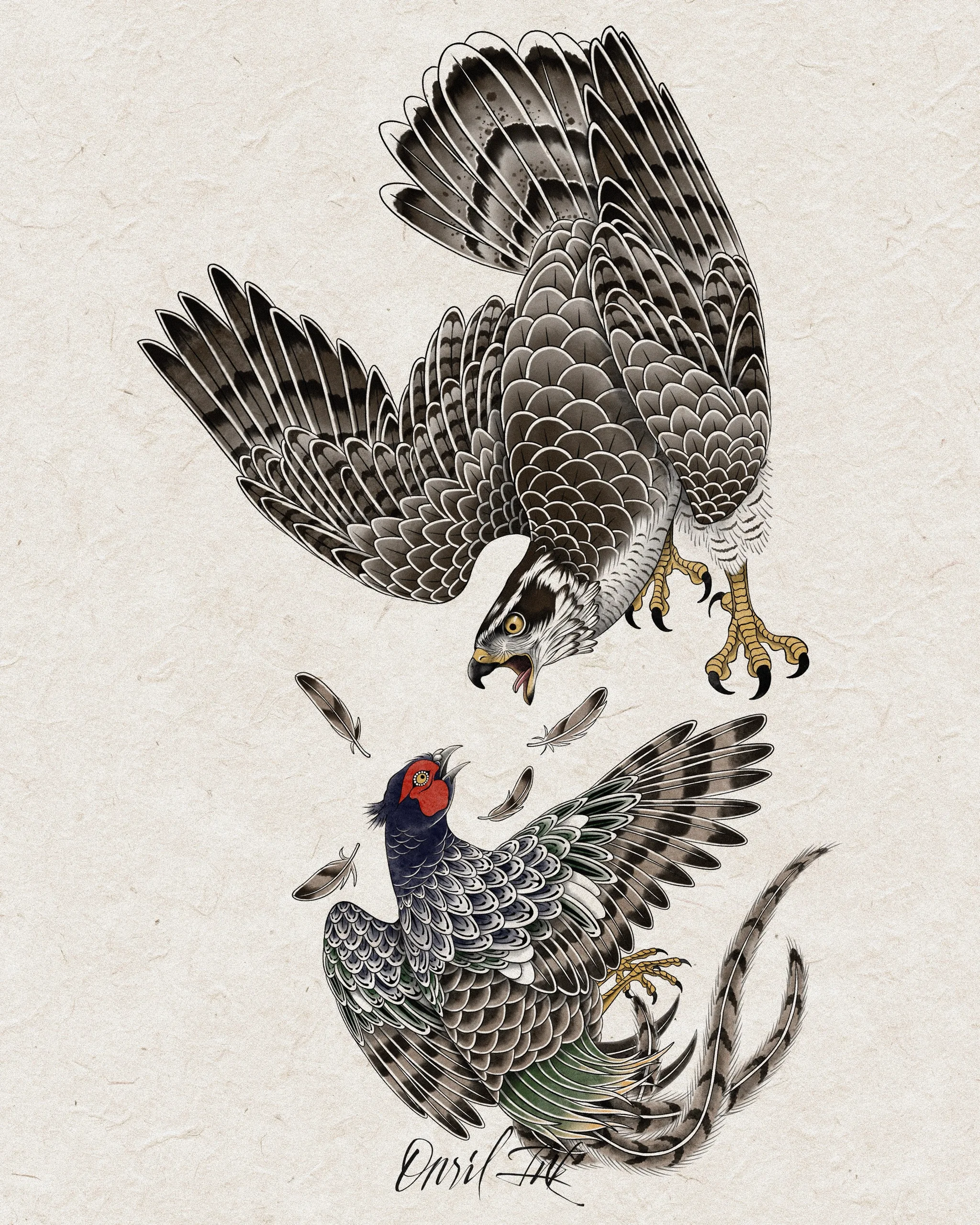 Goshawk & Pheasant