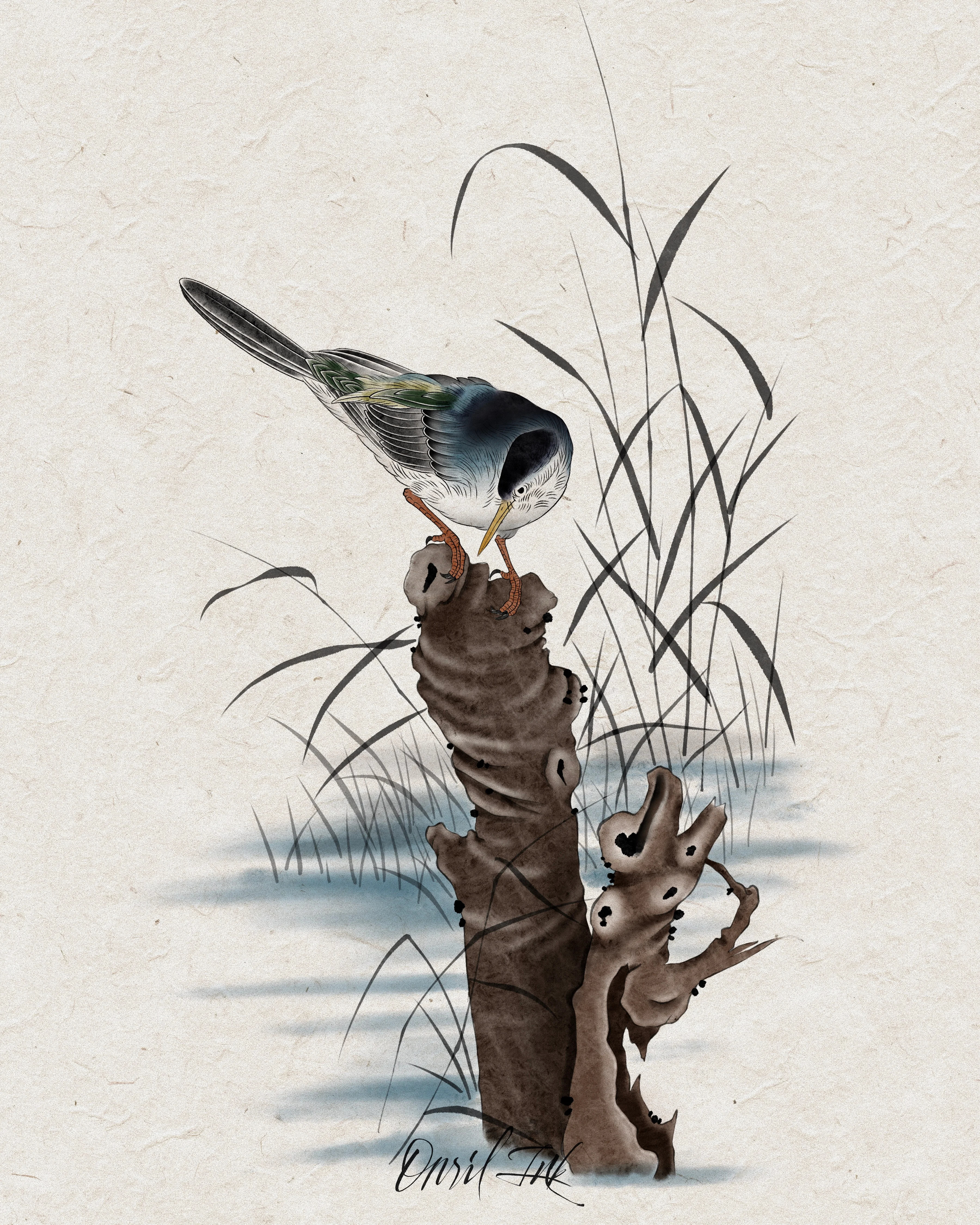 Waterbird