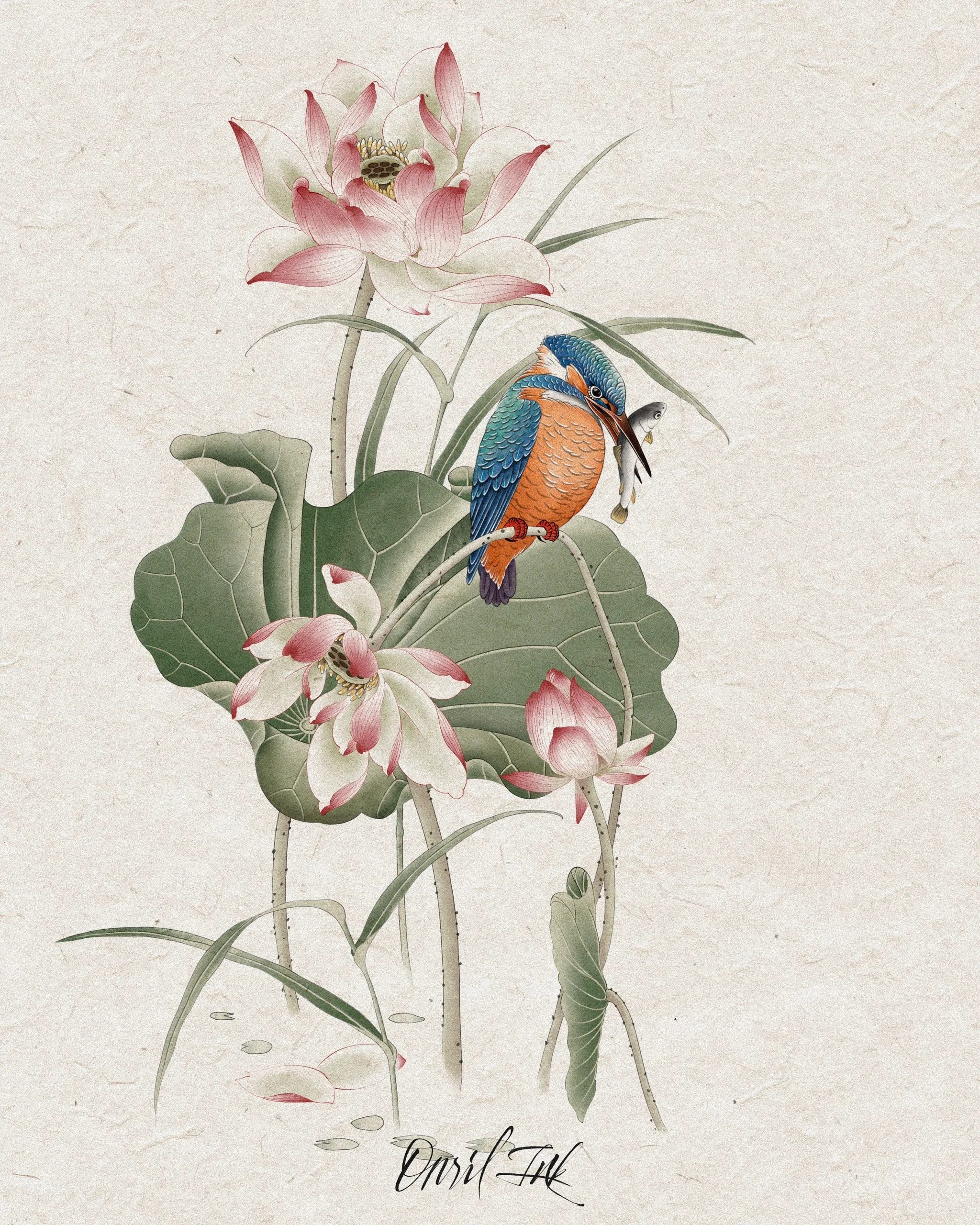 Lotus & Kingfisher
