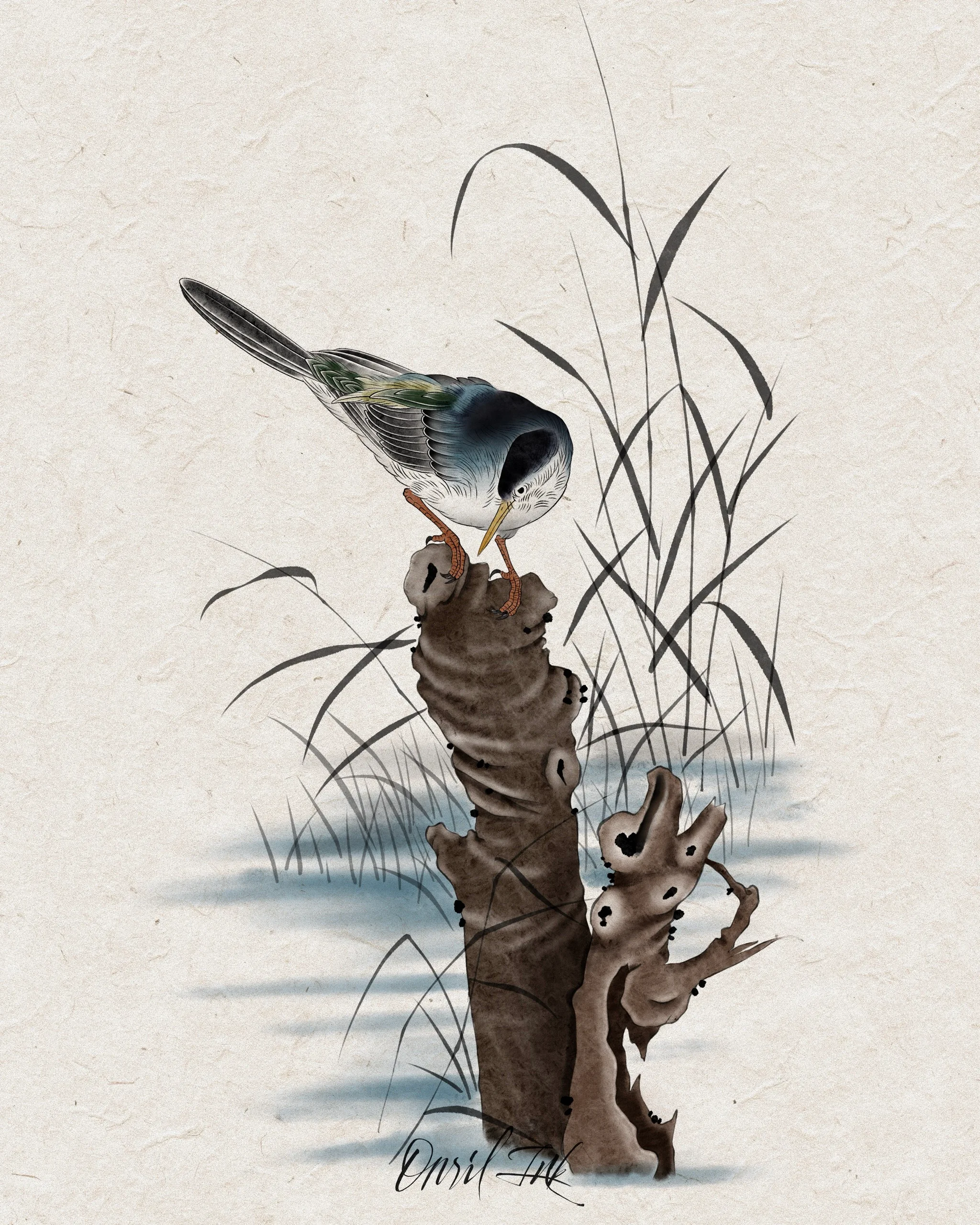 Waterbird