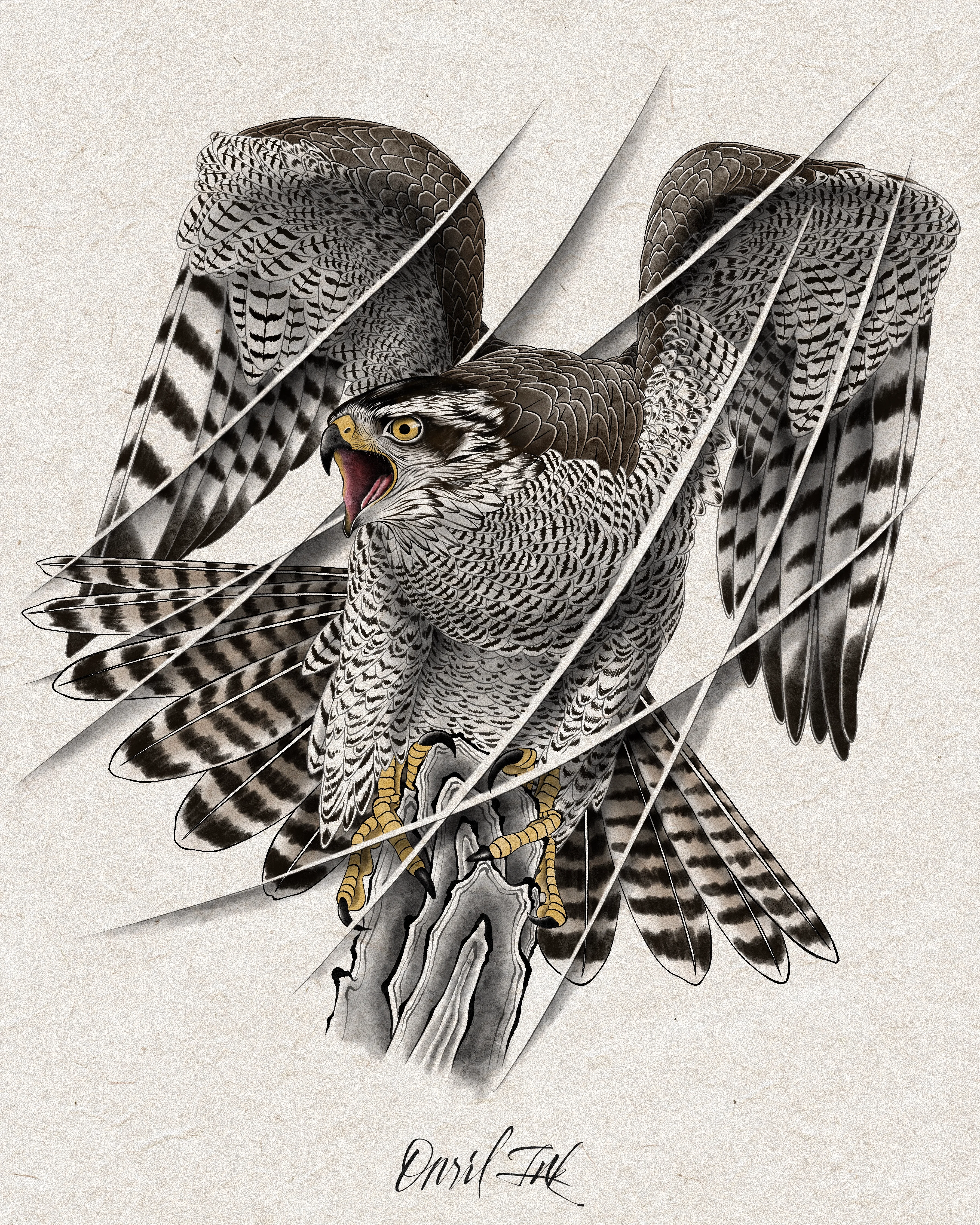 Falcon — color design
