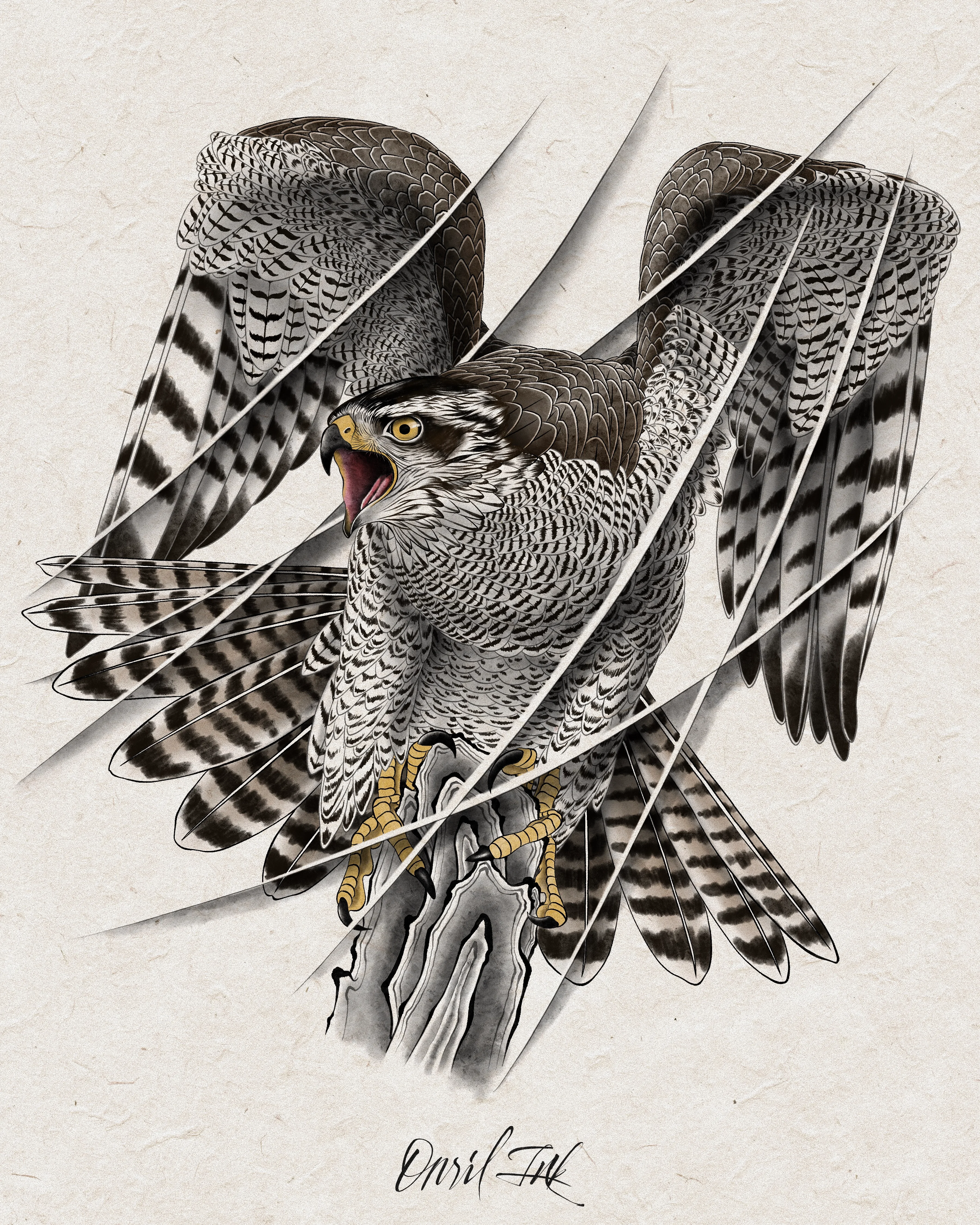 Falcon