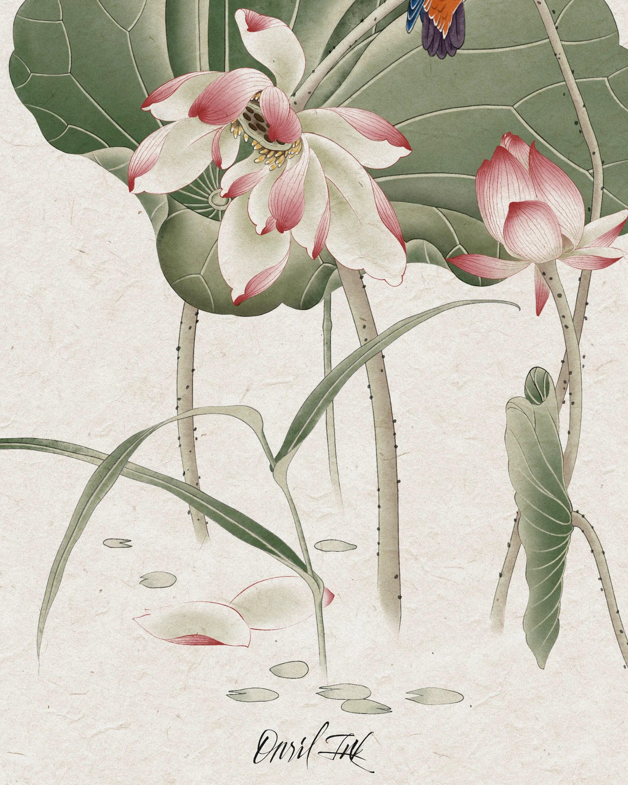 Lotus & Kingfisher — Lotus tattoo detail