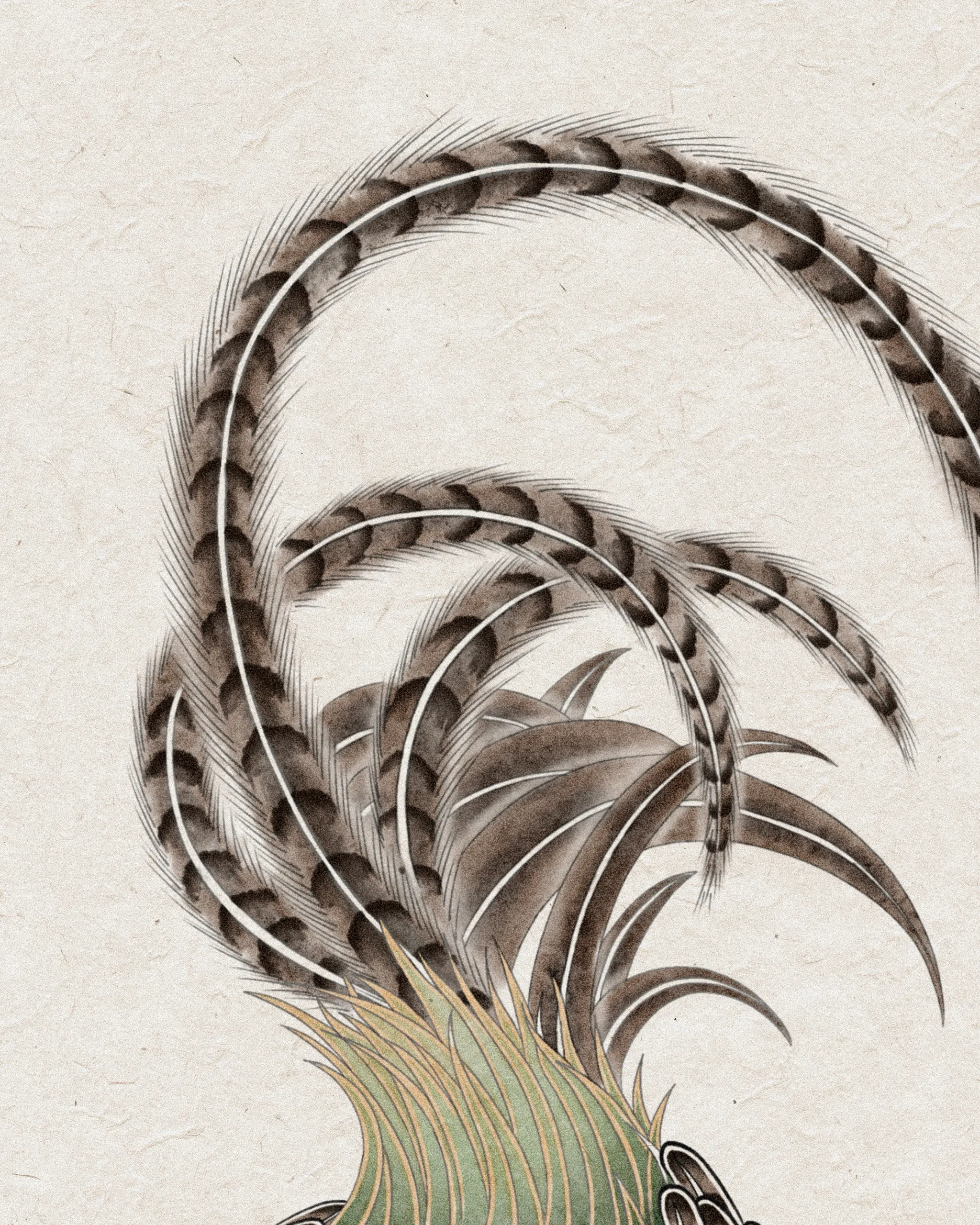 Pheasant — Symbol of Fortune — Pheasant tattoo detail