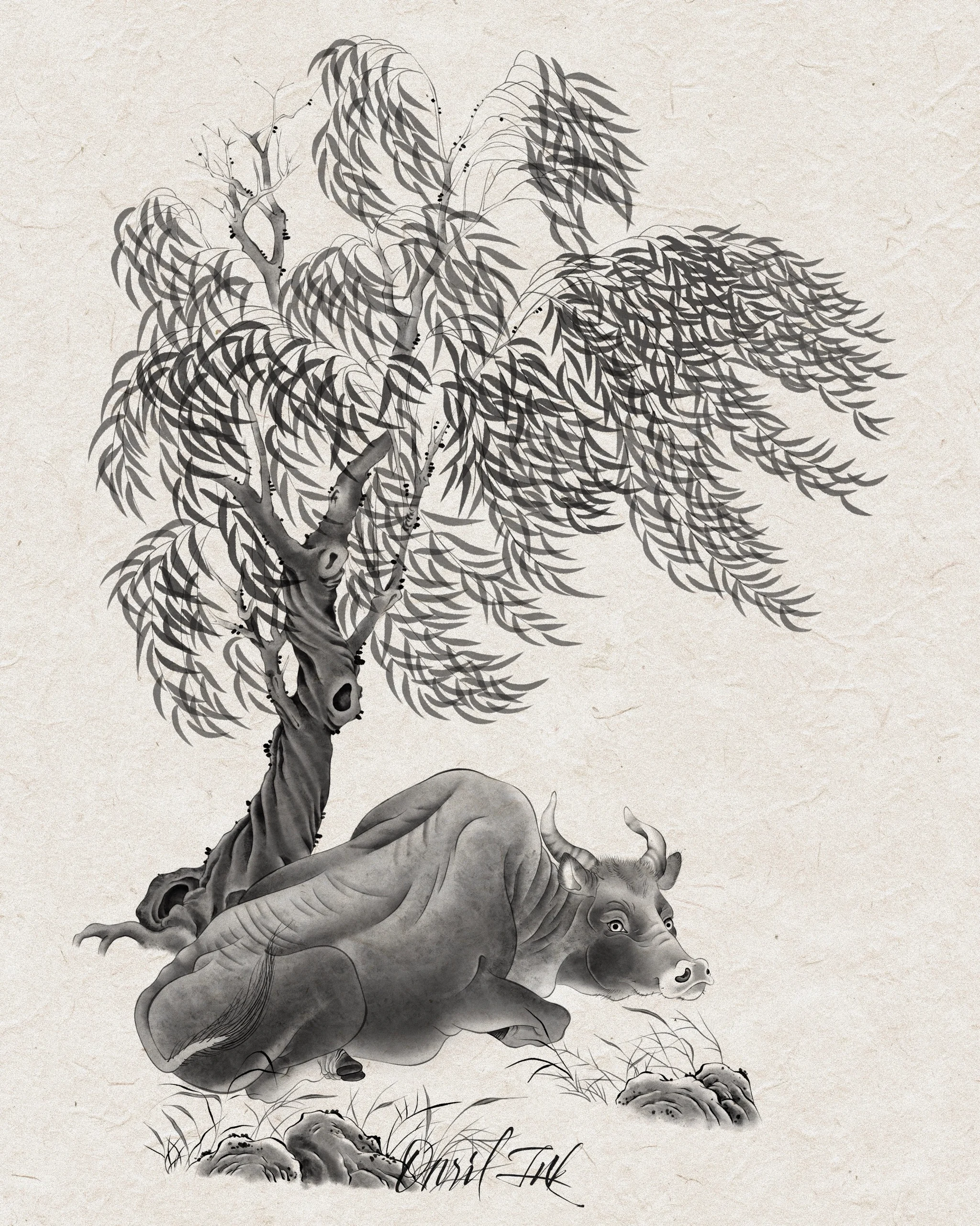 Willow & Ox — mono variant