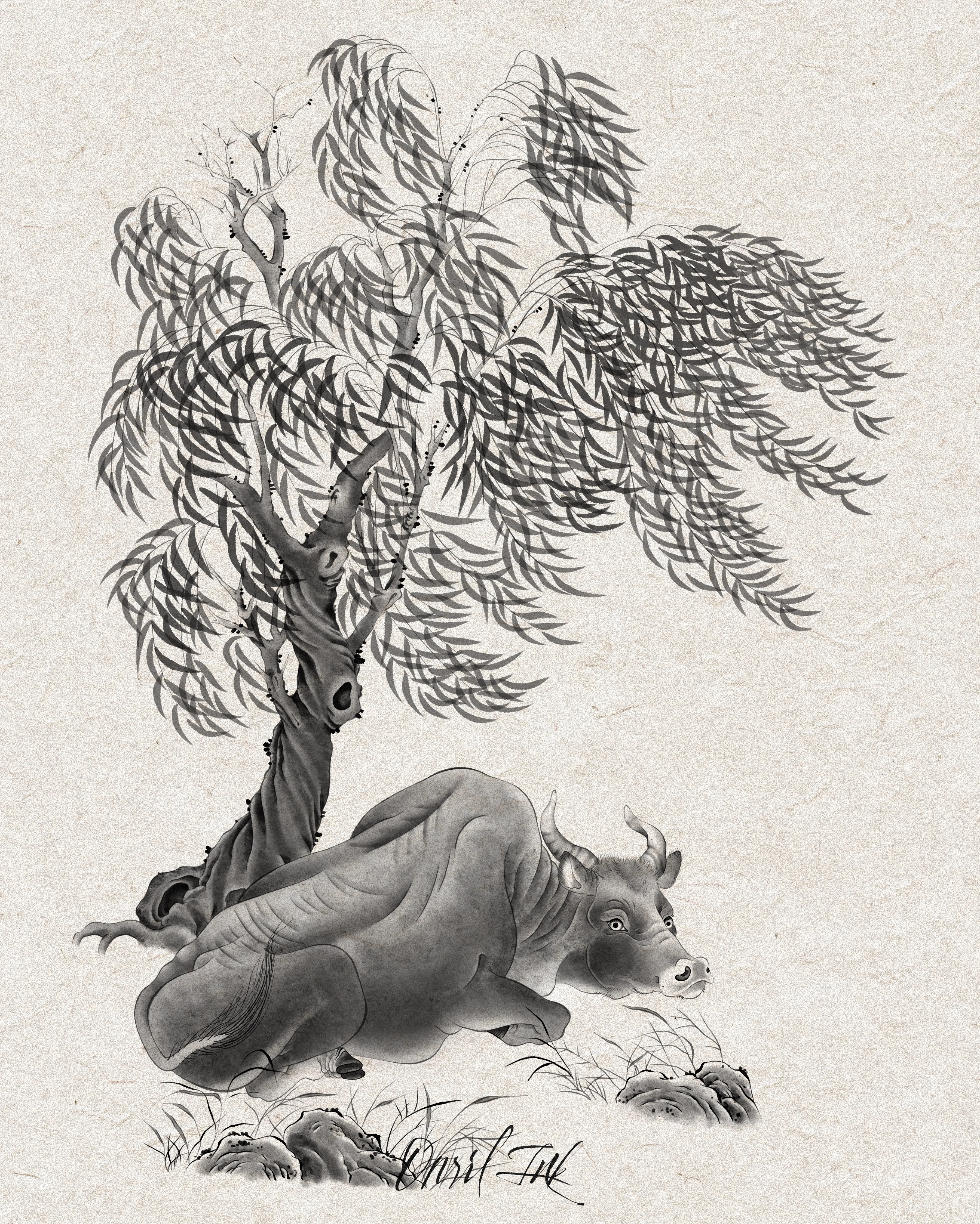 Willow & Ox — mono variant