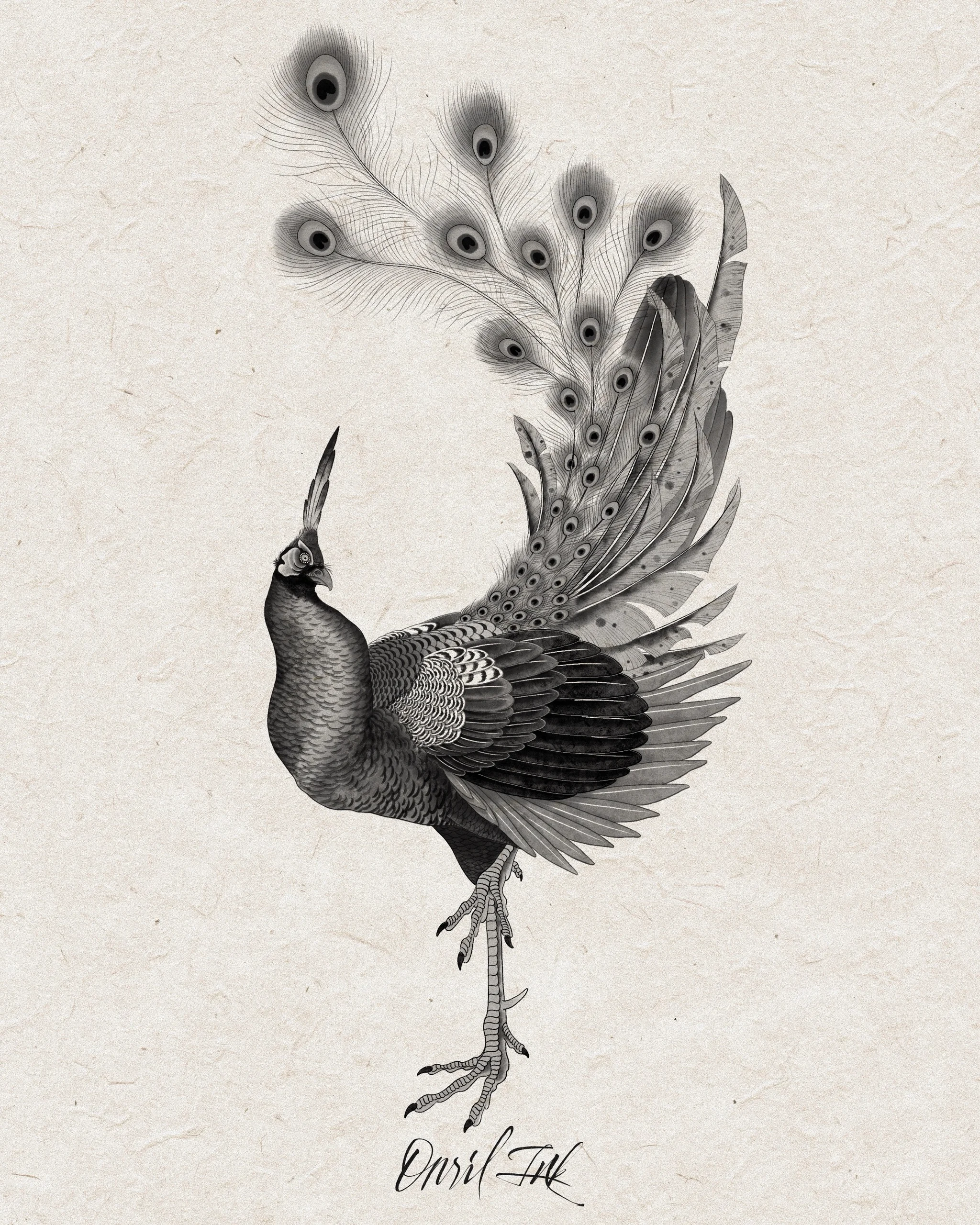 Peacock — mono variant