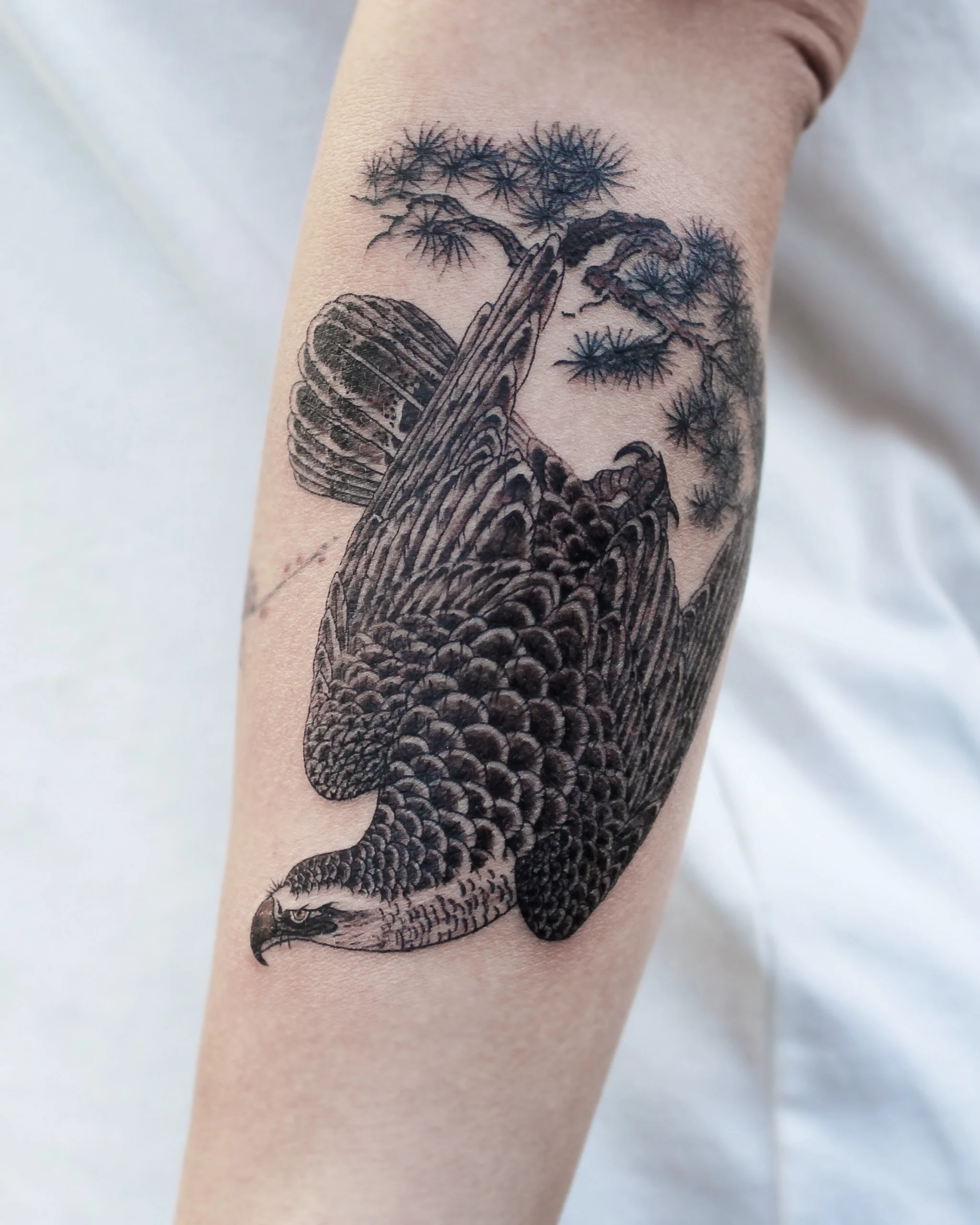 Eagle & Pine — Korean traditional tattoo by Onsil, on the skin