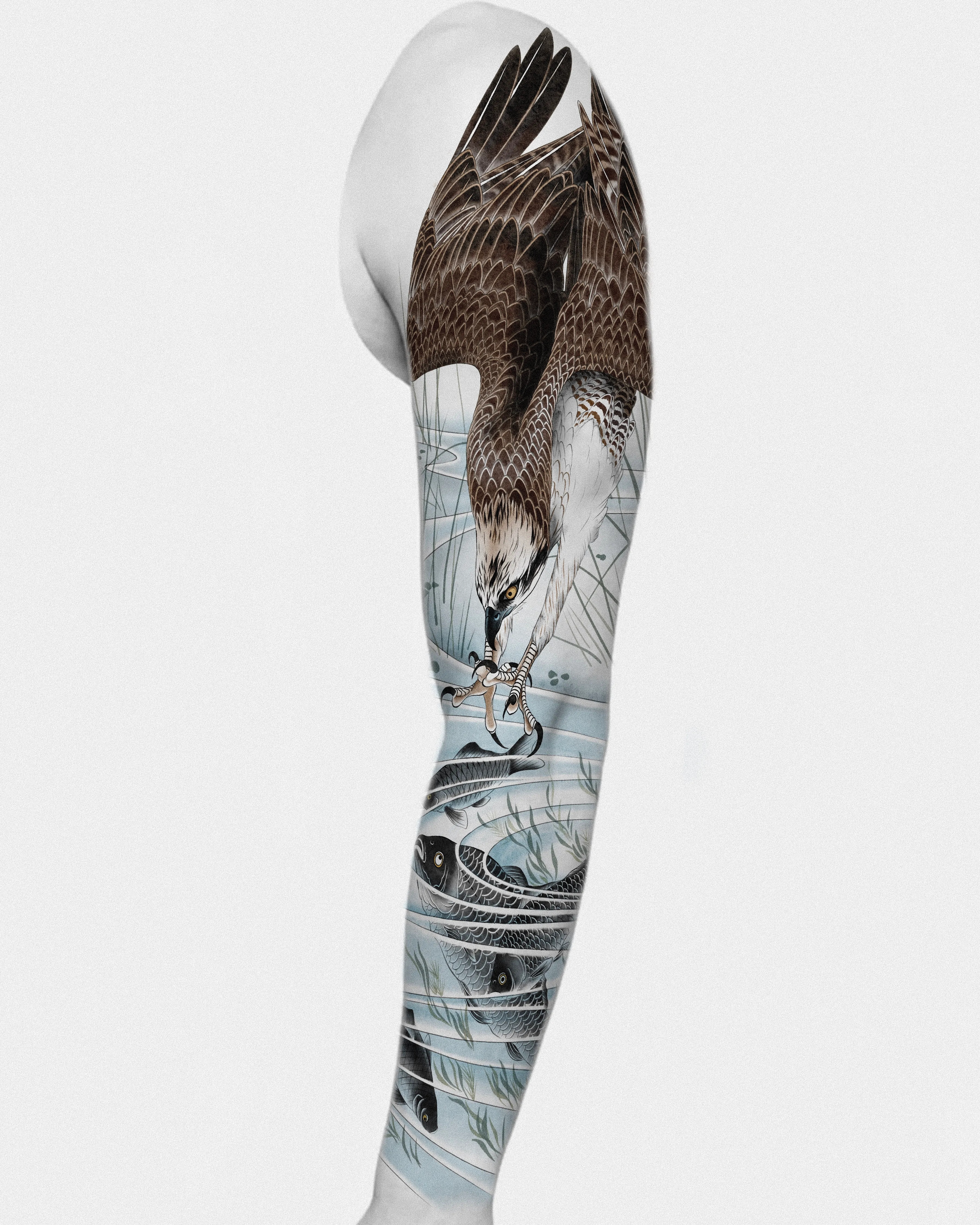 Osprey — Design placement reference