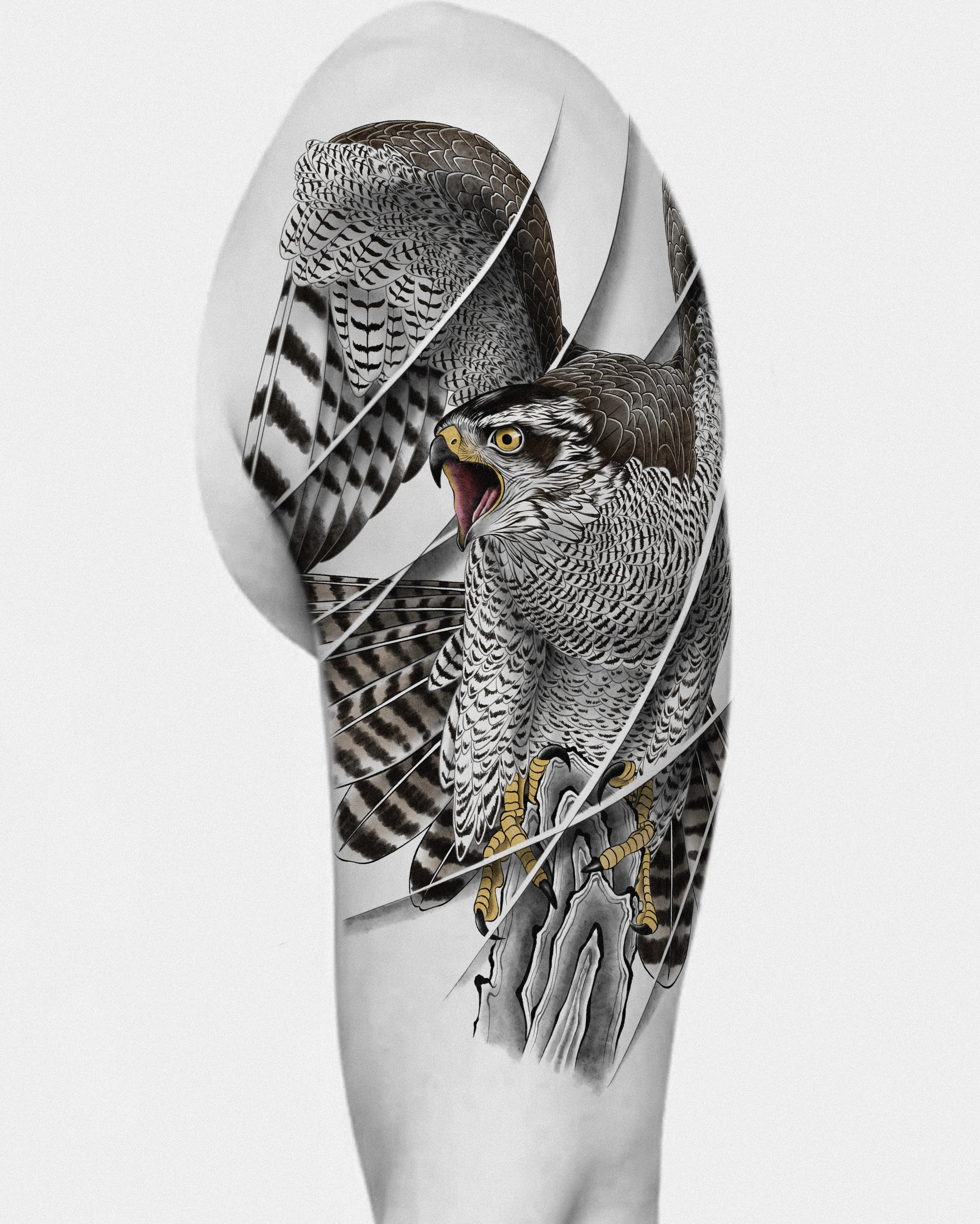 Falcon — Design placement reference
