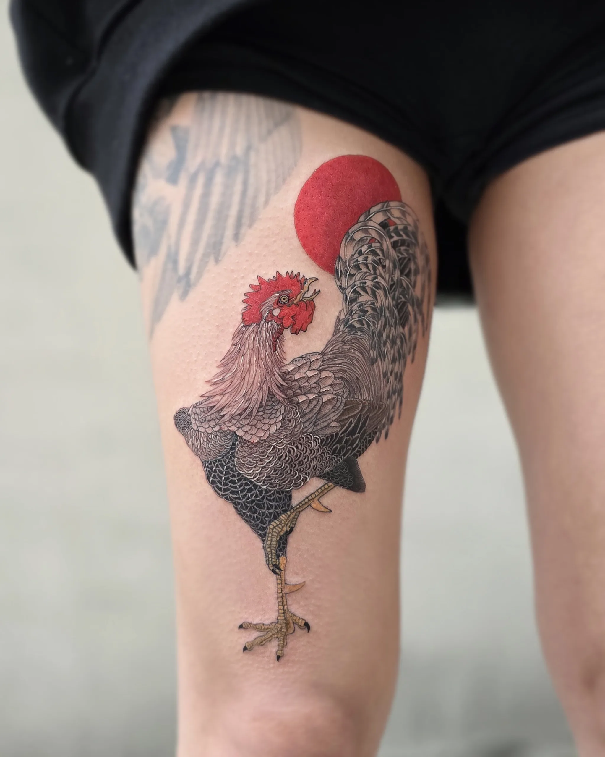 White Rooster & Red Sun