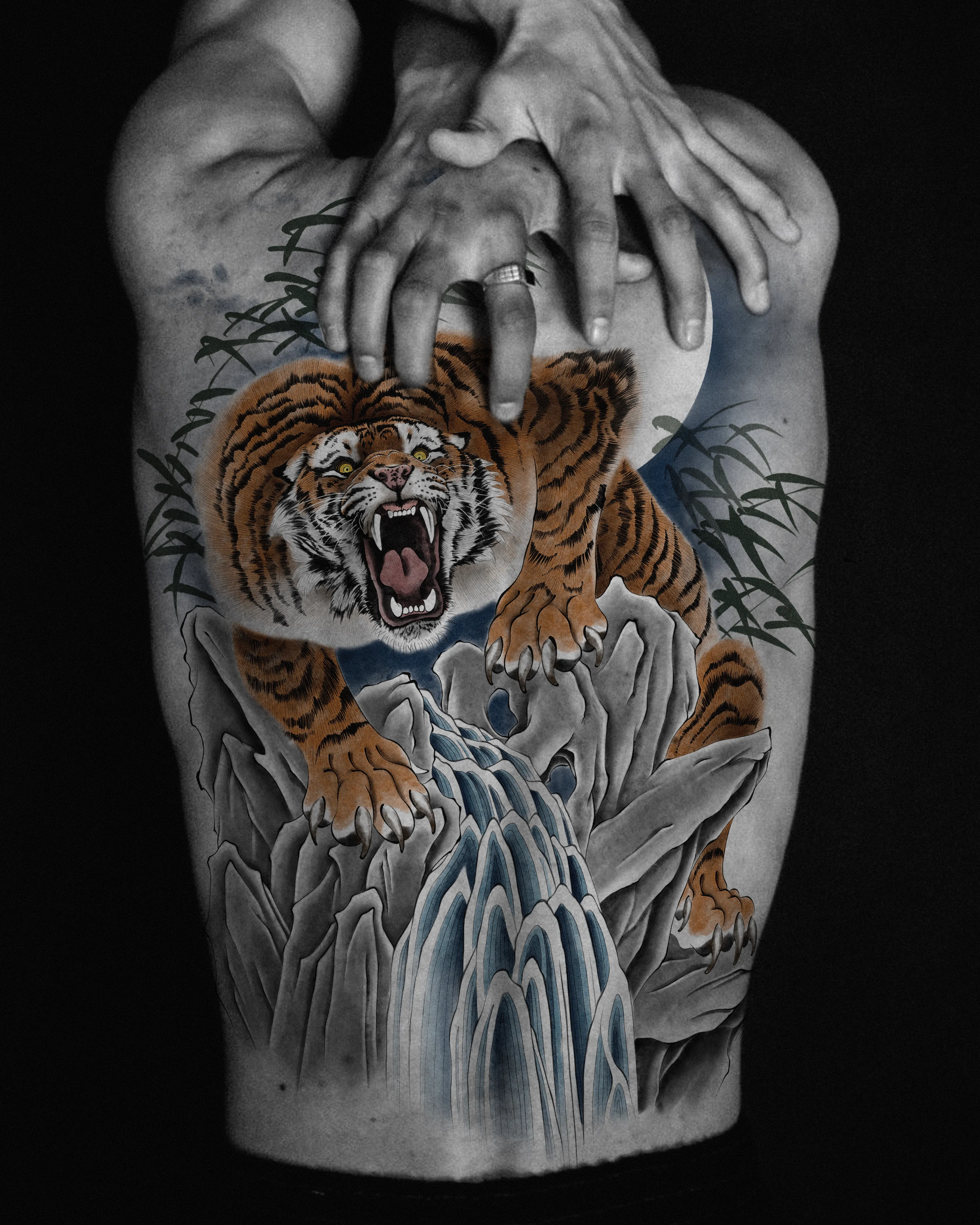Tiger — On the skin · tiger, rock