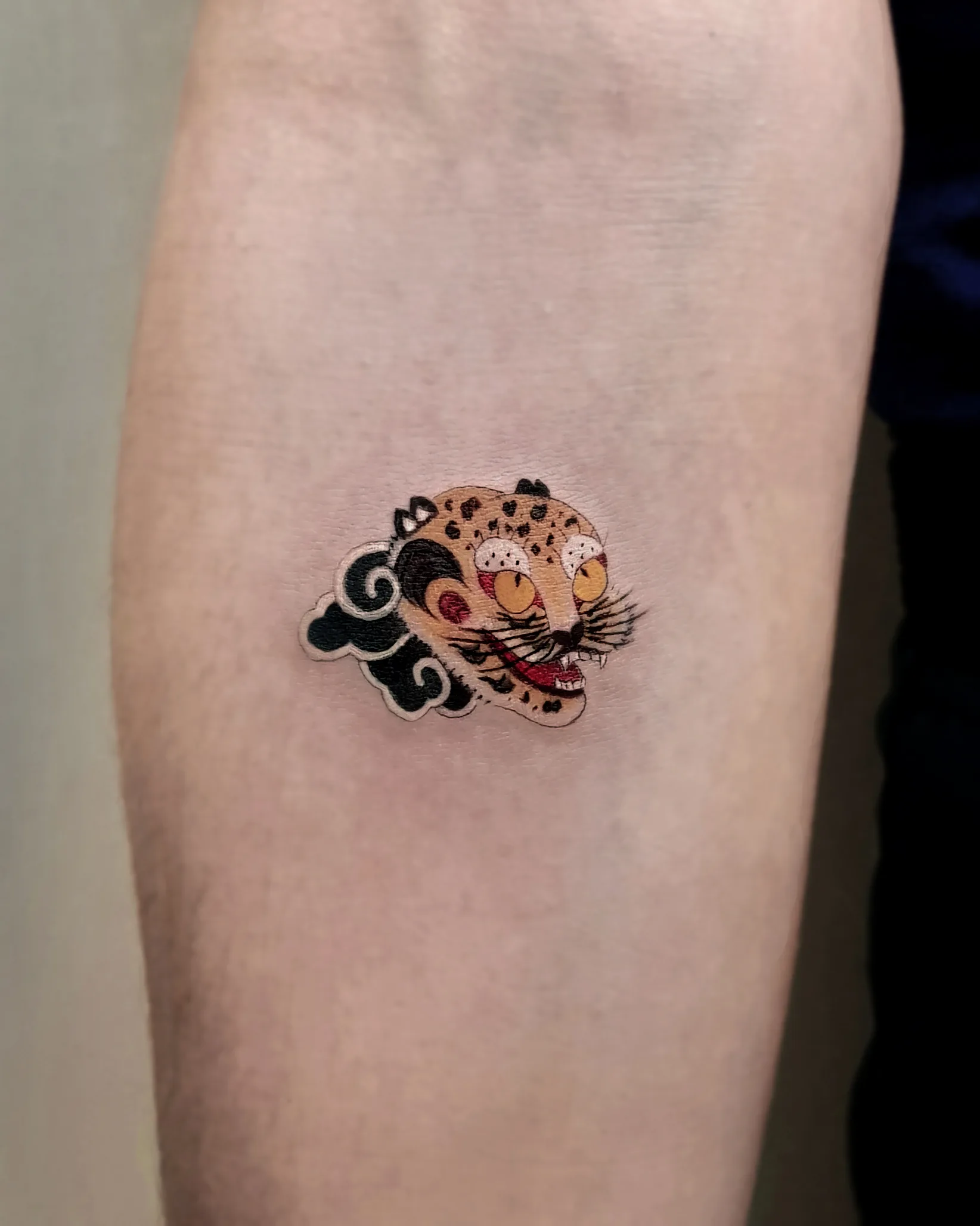 Minhwa Tiger — On the skin · tiger, minhwa