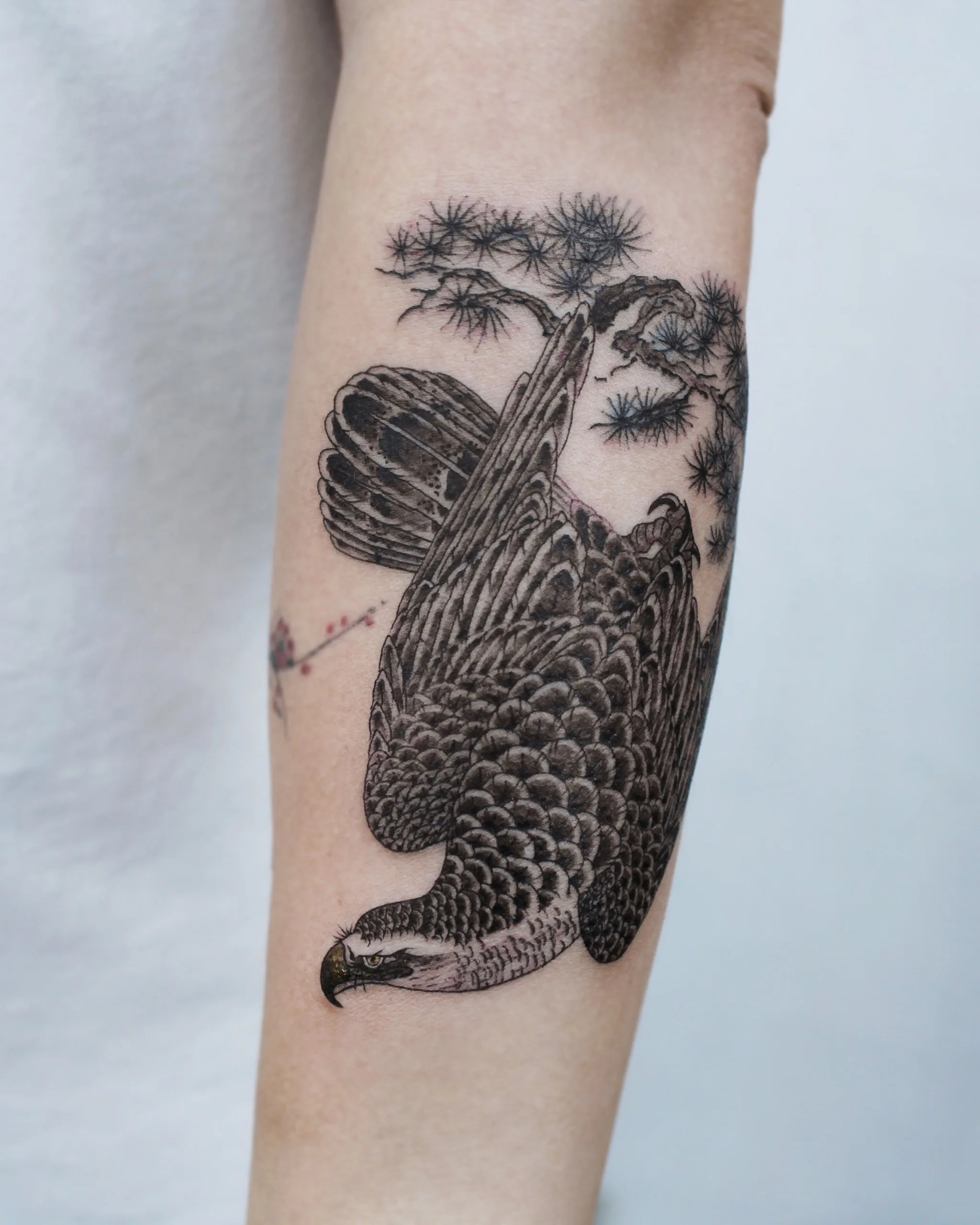 Eagle & Pine — Eagle tattoo on skin